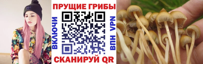 Галлюциногенные грибы MAGIC MUSHROOMS Мосальск